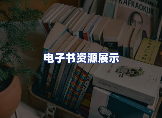 电子书资源展示